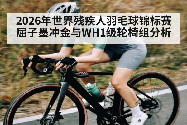 2026年世界残疾人羽毛球锦标赛屈子墨冲金与WH1级轮椅组分析